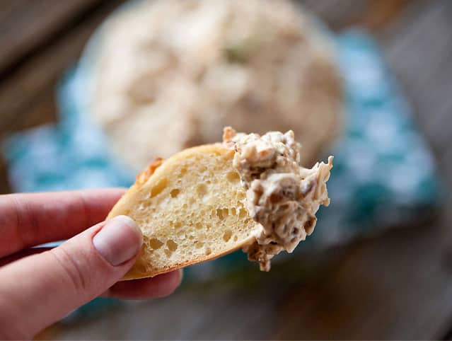 Caramelized Onion & Thyme Dip - Lavibu