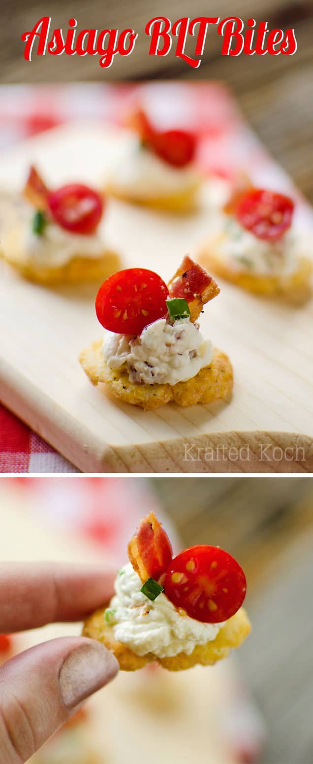 Asiago BLT Bites - Lavibu - A quick and easy appetizer recipe the whole crowd will love!