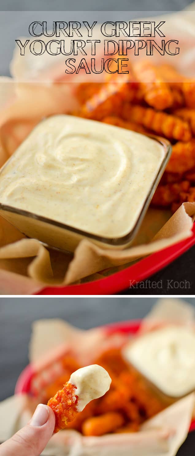 Curry Greek Yogurt Dipping Sauce - Lavibu - An amazingly flavorful dipping sauce recipe perfect for sweet potato fries!