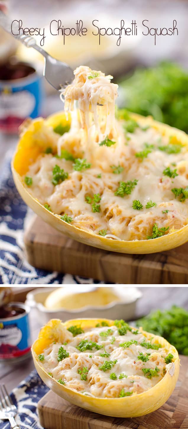 Cheesy Chipotle Spaghetti Squash - A healthy spaghetti squash recipe loaded with a creamy chipotle sauce for a meatless meal loaded with flavor or side dish that people will be taking extra helpings of. #SpaghettiSquash #MeatlessMonday #Healthy #Vegetarian #