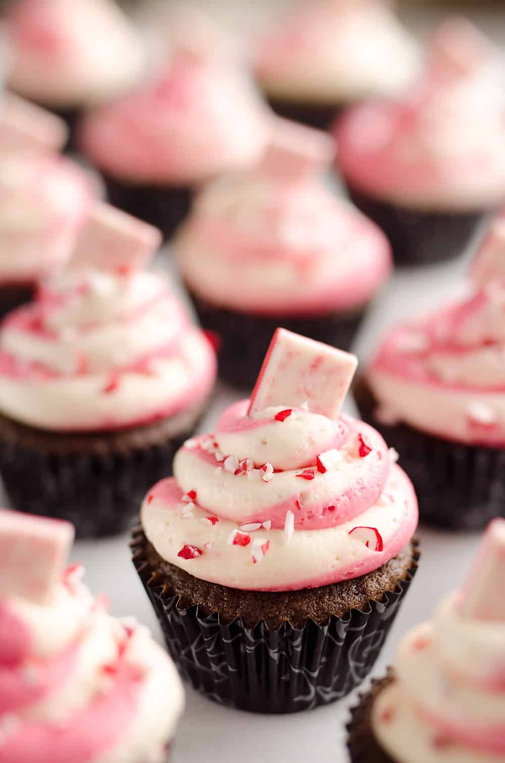 Peppermint Chocolate Candy Cane Cupcakes are a beautifully festive dessert perfect for the holidays! Moist homemade chocolate cupcakes are topped with a candy cane swirl of buttercream and topped with peppermint for a seasonal treat.