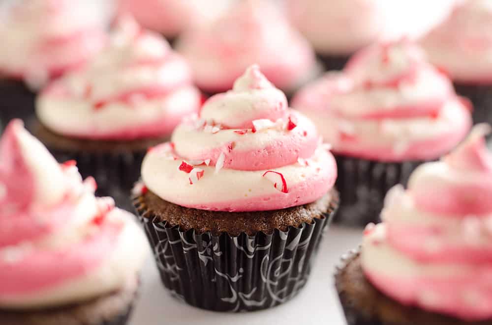 Peppermint Chocolate Candy Cane Cupcakes are a beautifully festive dessert perfect for the holidays! Moist homemade chocolate cupcakes are topped with a candy cane swirl of buttercream and topped with peppermint for a seasonal treat.