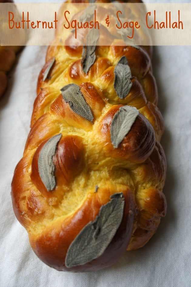 25+ Butternut Squash Recipes